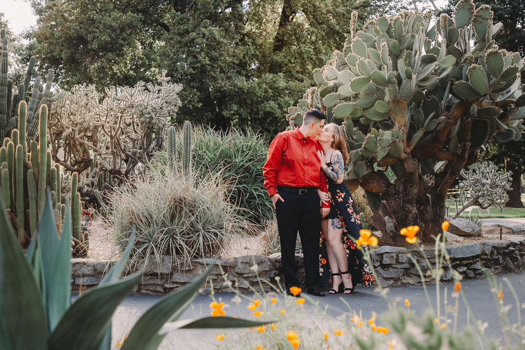 Who would’ve thought this little gem was in Sacramento?