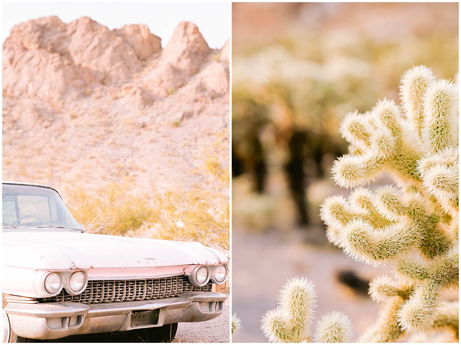 Intimate Las Vegas Wedding 