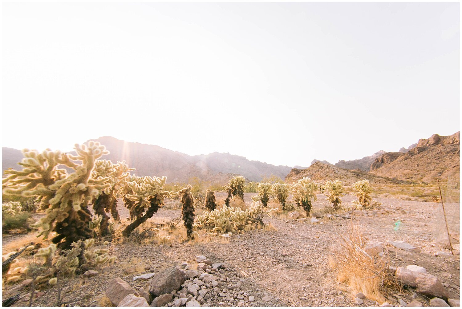 Intimate Las Vegas Wedding_0023.jpg