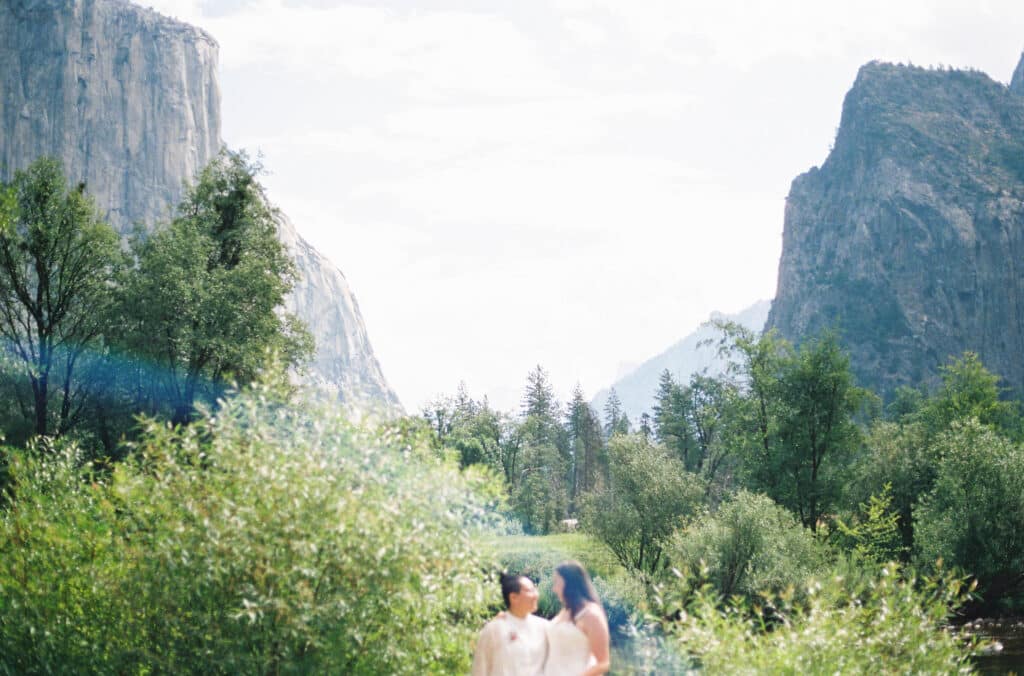 Two brides looking at eachother in yosemite valley