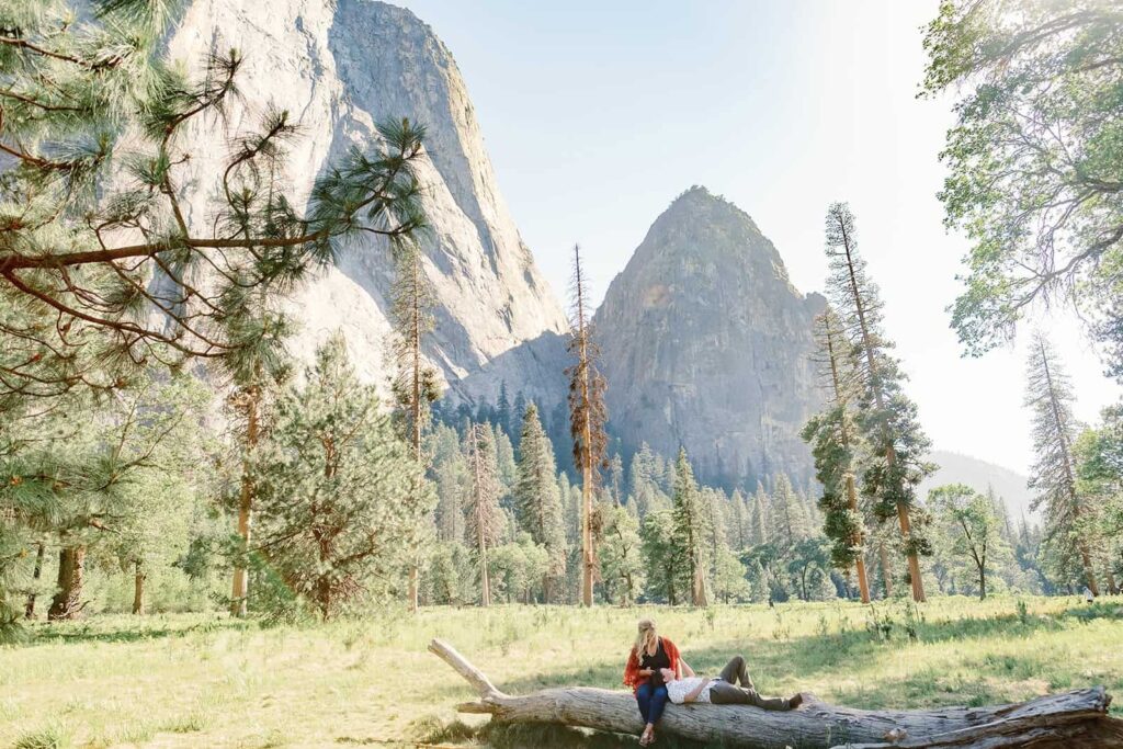 Yosemite Proposal in Yosemite National Park 