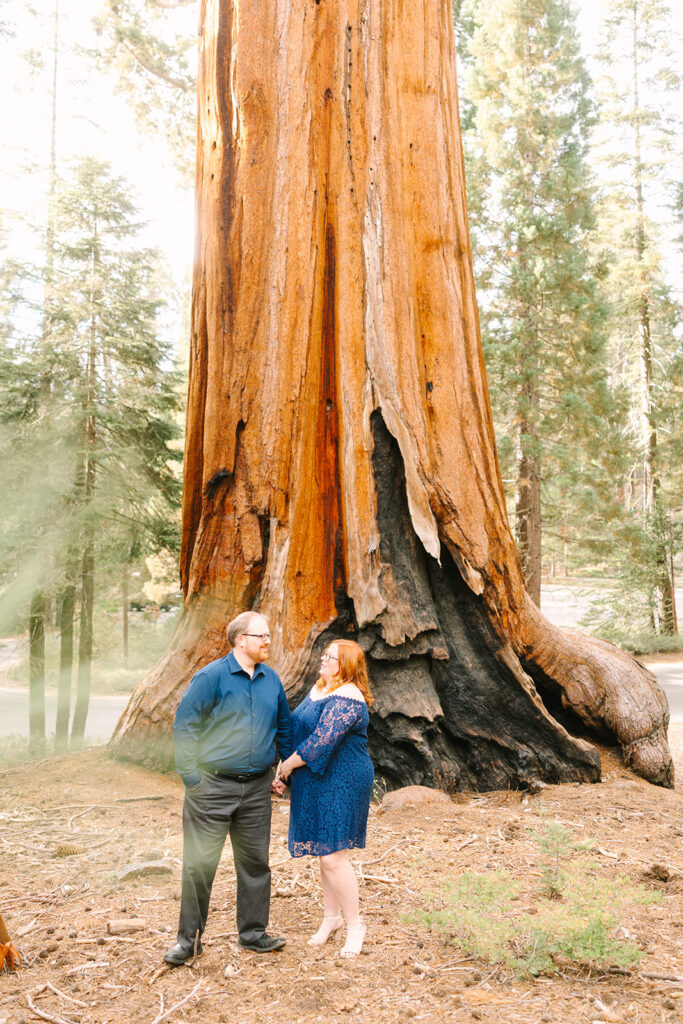 Jamie + Josh Kings Canyon National Park