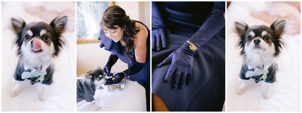 Dog in tuxedo getting ready with wedding party before a Berkley City Club wedding, photographed by Michelle Gunn Photo during a lesbian wedding day.