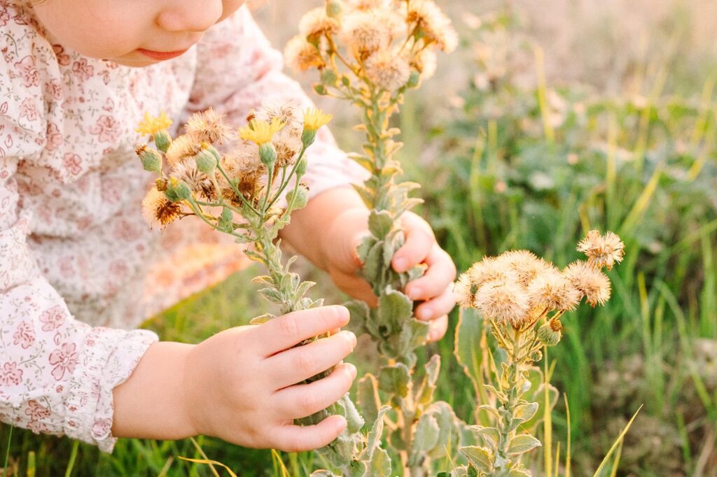 Close-up of toddler hands gently holding wildflowers in soft evening light during a Fresno family photo session, highlighting detail shots featured in Fresno family photo tips.