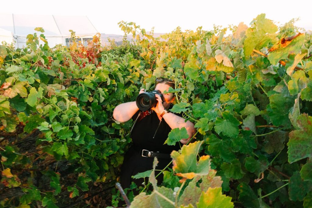 Photographer standing among vineyard rows at golden hour while taking a photo, captured behind the scenes by michelle gunn photo.