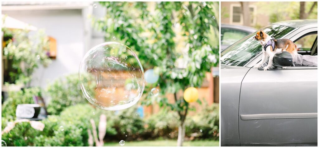 Porchfest Fresno Photographer Michelle Gunn Photo 0052